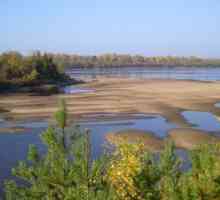 Râul Mologa: descriere. Regiunea Vologda, râul Mologa