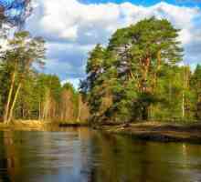 Râul Nerskaya în suburbii: descriere, descriere, fotografie