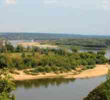 Râul Oka. Plante și animale din bazinul Volga
