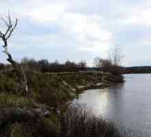 Râul Sozh este unul dintre cele mai frumoase râuri din Belarus