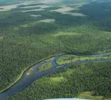 Râul Vis este unul dintre cele mai pitorești locuri din Rusia