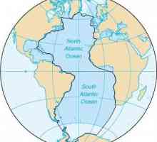 Reluarea fundului Oceanului Atlantic. Principalele caracteristici ale reliefului patului Oceanului…