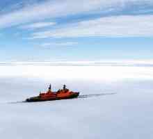 Reluarea fundului Oceanului Arctic - ce este?