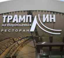 Restaurant `Trampoline` pe Vorobyovyh, Moscova: prezentare generală, meniu și…