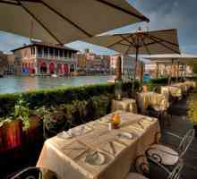 Restaurante din Veneția: comentarii, descrieri și bucătărie. Cele mai apreciate restaurante din…
