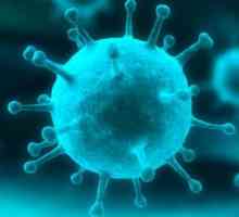 Retrovirusul este ceea ce?