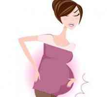 Tăierea durerii în abdomenul inferior în timpul sarcinii: cauze. Tragerea durerii în timpul sarcinii