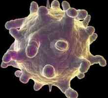 Infecția cu rinovirus: simptome și tratament