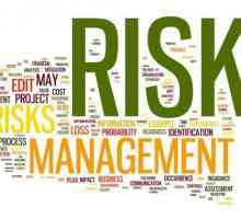 Manager de risc: o profesie nouă și promițătoare