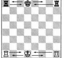 Casting în șah - cum se face totul în conformitate cu regulile