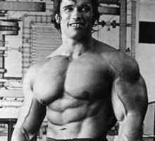 Creșterea lui Arnold Schwarzenegger este egală cu înălțimea Statuiei Libertății!