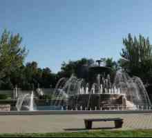 Rostov-on-Don, roata Ferris (Revolution Park): descriere și fapte interesante