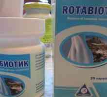 "Rotabiotic": instrucțiuni de utilizare, descrierea medicamentului, feedback