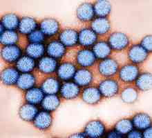 Rotavirus: simptome la un copil fără temperatură, tratament și prevenire