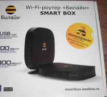 Router `Beeline` Smart Box - caracteristici, recenzii