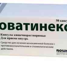 "Rovatineks": instrucțiuni de utilizare, descriere a medicamentului, feedback