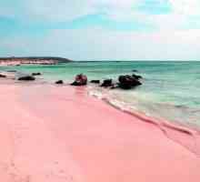 Pink beach: unde este? descriere
