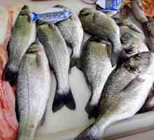 Dorado pește: beneficii și rău, descriere, rețete de gătit