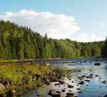 Pescuitul sălbatic în Karelia: comentarii. Unde să mergeți la Karelia pentru pescuitul sălbatic