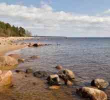 Pescuitul în Golful Finlandei pe un baraj. Pescuit în luna iunie
