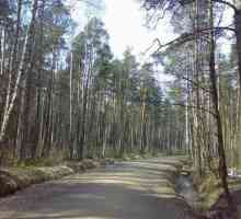 Parcul forestier Rzhev. Parcul forestier Rzhevsky din districtul Vsevolozhsk (Sankt Petersburg):…