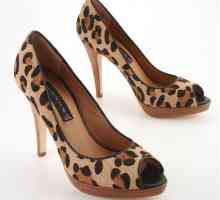 Cu ce ​​să purtați pantofi de leopardi?