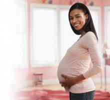 În ce lună se înscriu mamele care se așteaptă la concediu de maternitate?