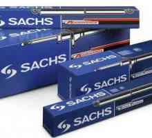 Sachs-dampers: o scurtă descriere