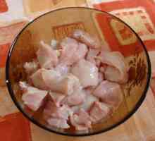 Satsivi din carne de pui: reteta pentru gatit, ingrediente