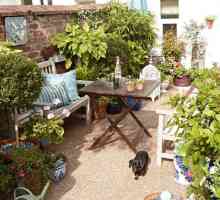 Grădina acoperișului: cum să aranjați și ce plante să alegeți