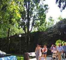 `Safari-park` în Krasnodar: istoria creației, flora și fauna, costul vizitei