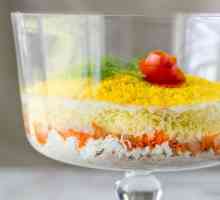 Salata Mimoza cu pui: ingrediente si reteta