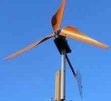 Producător de eolian de uz casnic pentru a furniza energie electrică casei