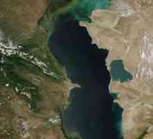 Cel mai mare lac din Eurasia. Cel mai mare lac din lume