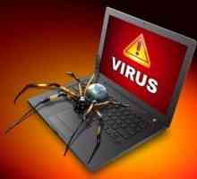 Cel mai convenabil mijloc de eliminare a programelor malware