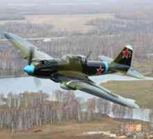 Avioane din cel de-al doilea război mondial. Avioane militare din perioada celui de-al doilea…