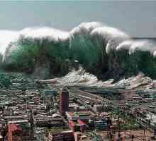 Cel mai mare tsunami din lume. Care este înălțimea celui mai mare tsunami din lume?