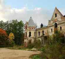 Cele mai frumoase castele din Rusia (fotografie)