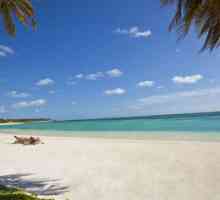 Cele mai bune hoteluri din Punta Cana (Republica Dominicană)