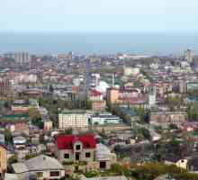 Cele mai populare hoteluri din Makhachkala