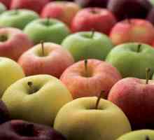 Cele mai delicioase soiuri de mere: o listă și o descriere