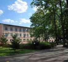 Sanatoriile, Penza Regiunea: Birch Grove, Polissya, Niva, Pădurea Silverpine. Odihnă și tratament