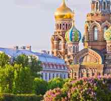Sankt-Petersburg: galerii care merită vizitate. Fotografii și recenzii ale turiștilor