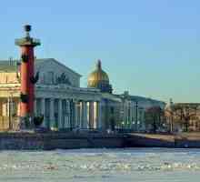 Sankt-Petersburg. Spitul din Insula Vasilyevsky