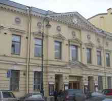 Teatrul de comedie muzicală din Teatrul de la Petersburg: istoria teatrului, recenzii, fotografie