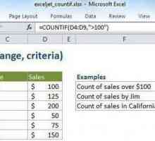 "CONTURI" în Excel: exemple, descriere