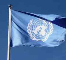 Secretariatul ONU: structura, compoziția, funcțiile