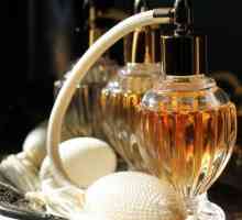 Parfum selectiv: ce este? Cele mai renumite branduri