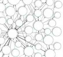 Rețeaua semantică: definiție, clasificare și aplicare