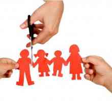 Separarea de părinți: cum să devii o persoană independentă. Sfatul psihologului